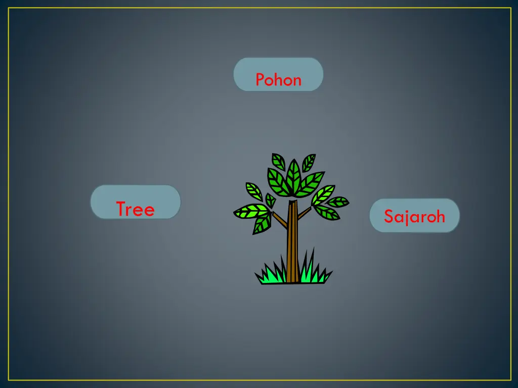 pohon