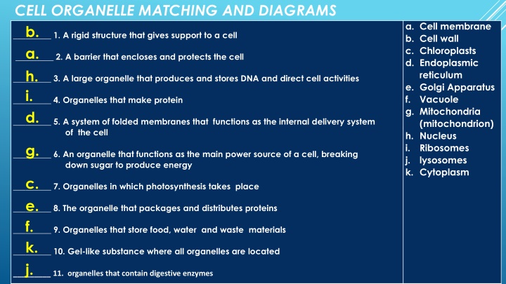 cell organelle matching and diagrams b a h i d