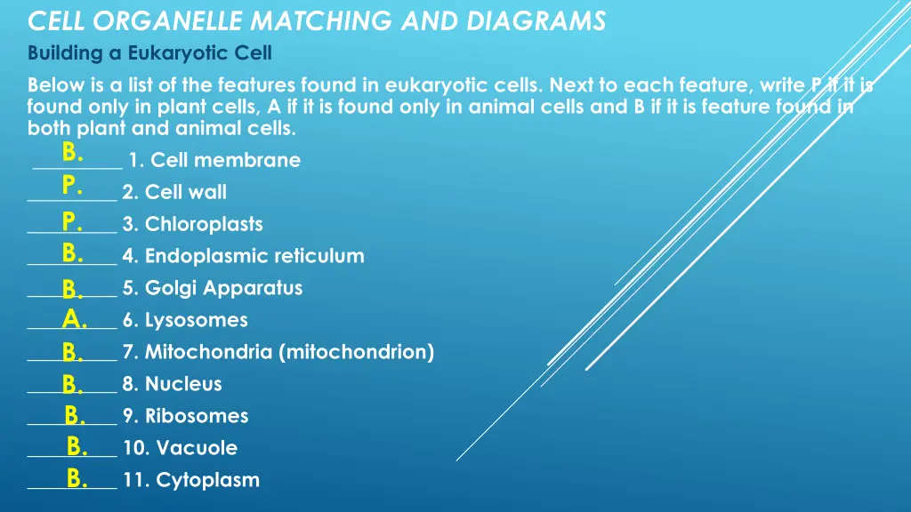 cell organelle matching and diagrams