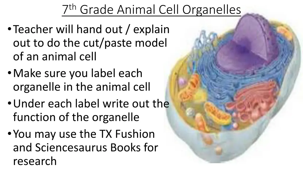 7 th grade animal cell organelles teacher will