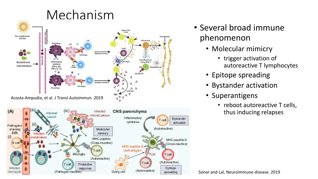 mechanism