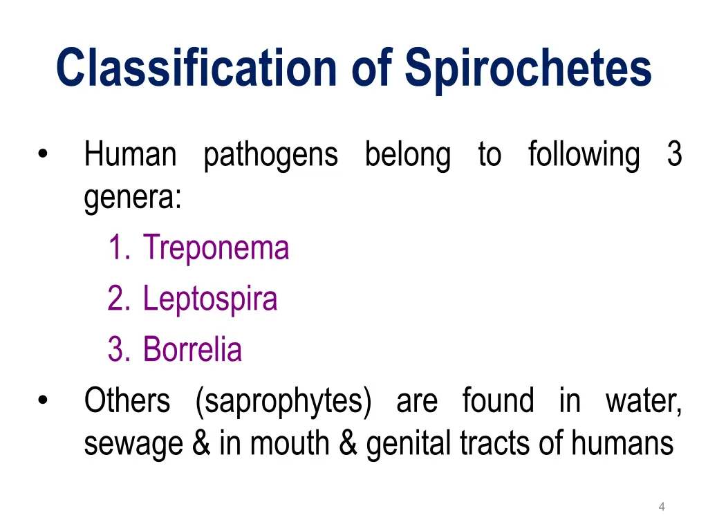 classification of spirochetes