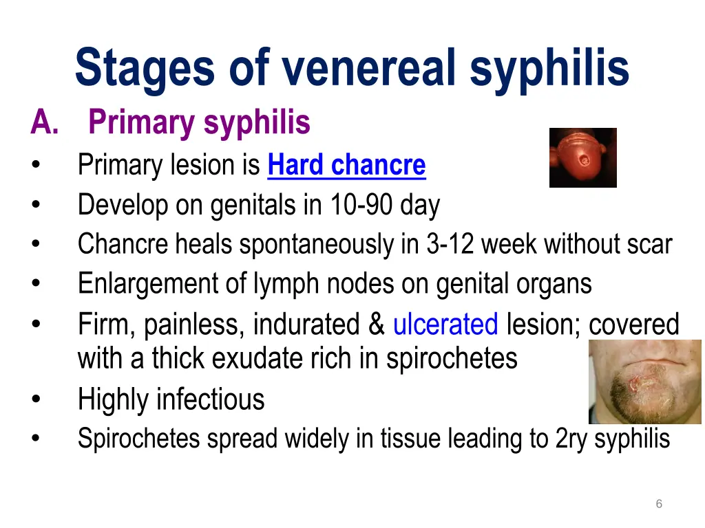 stages of venereal syphilis a primary syphilis