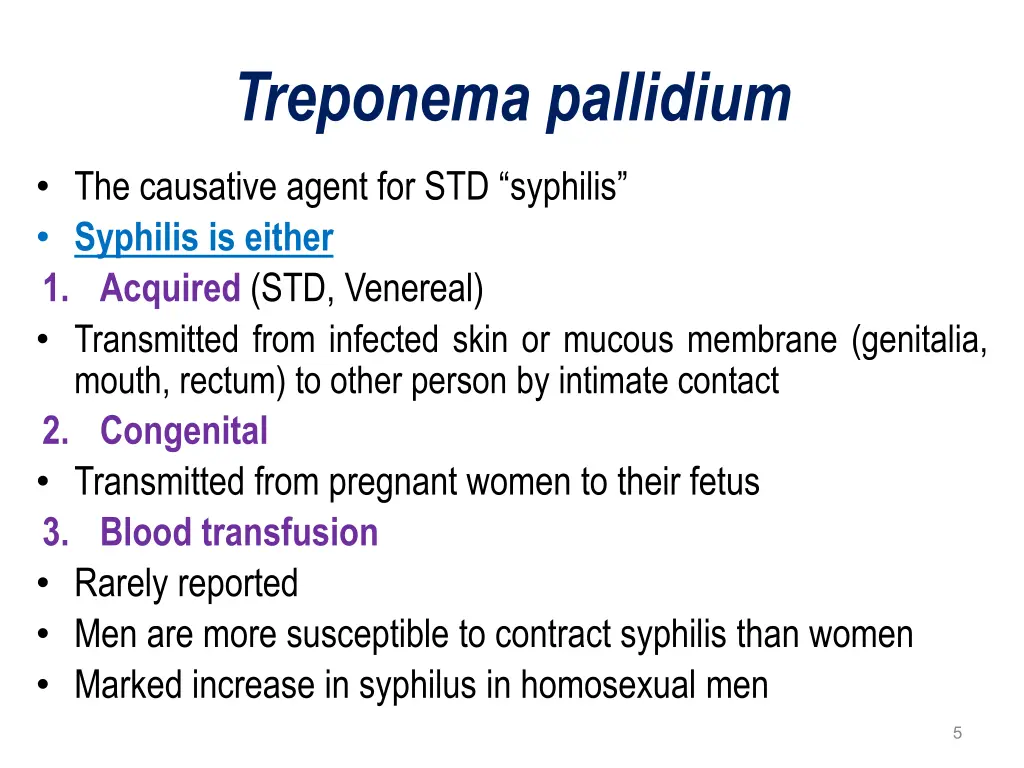 treponema pallidium