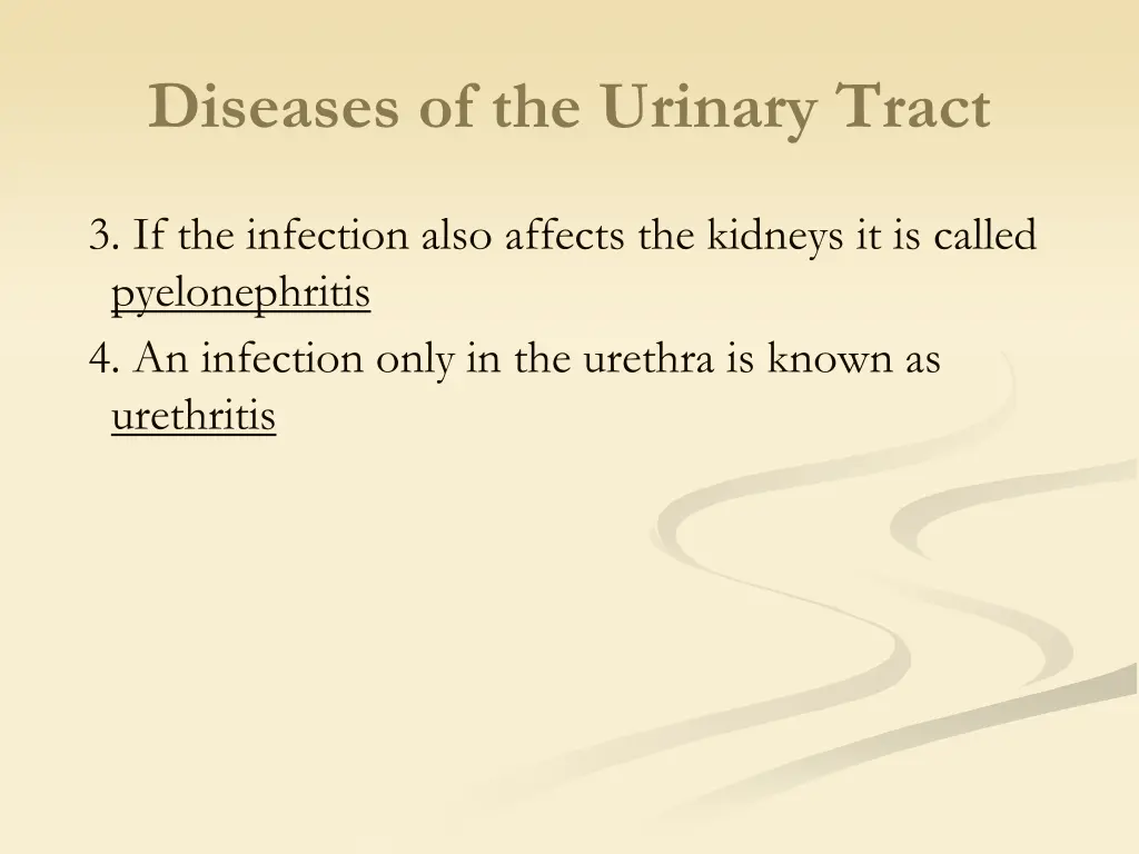 diseases of the urinary tract 1