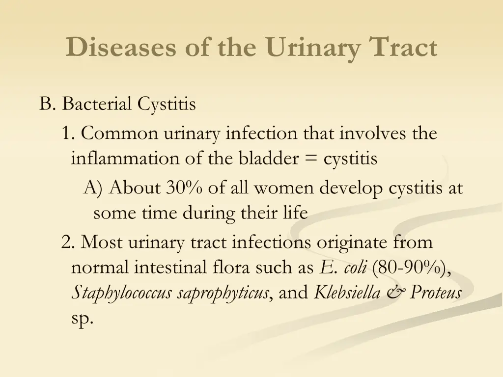diseases of the urinary tract 2