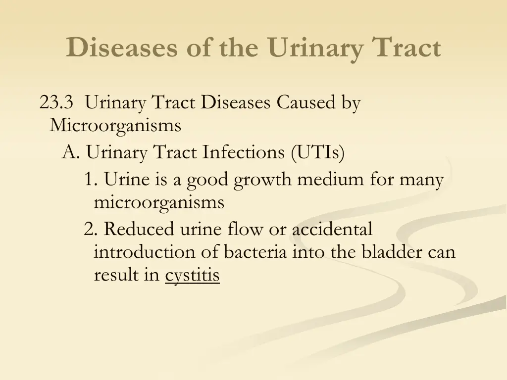 diseases of the urinary tract