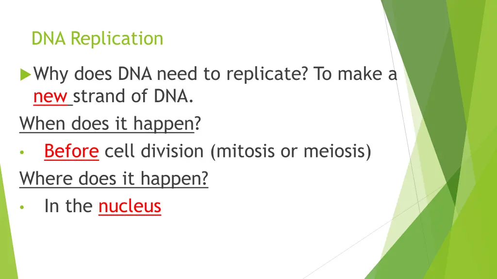 dna replication 1