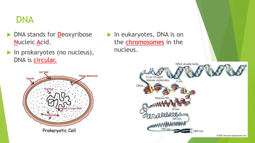 slide7