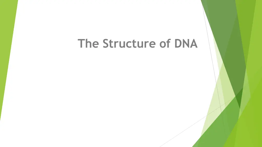 the structure of dna