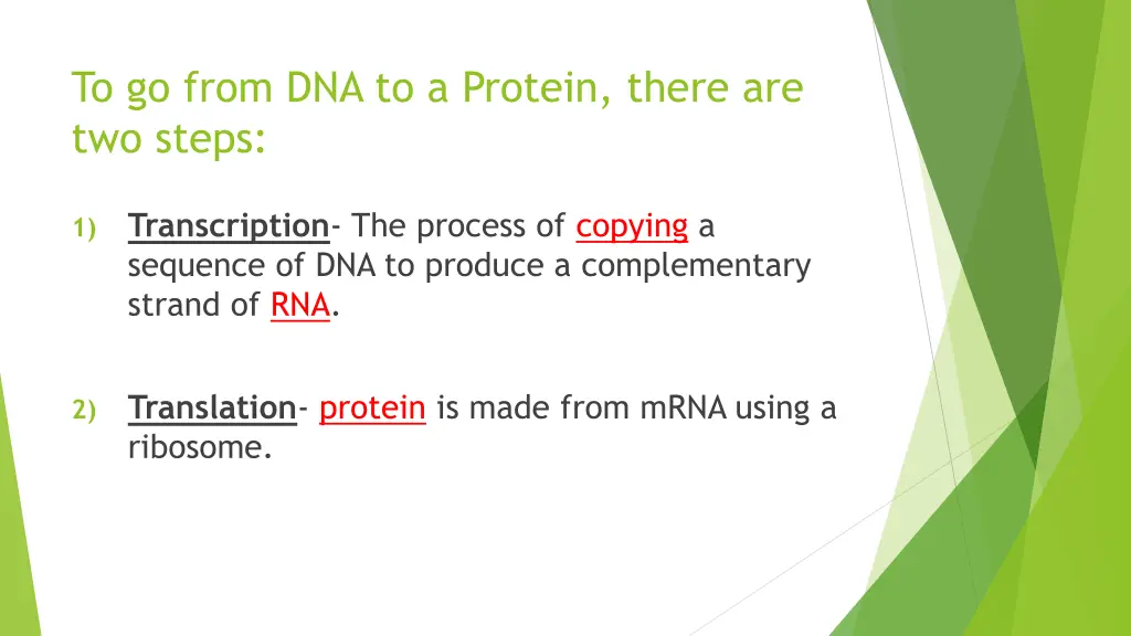 to go from dna to a protein there are two steps