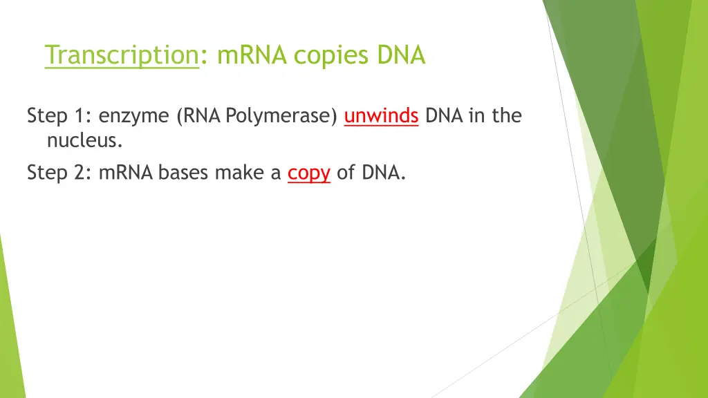 transcription mrna copies dna