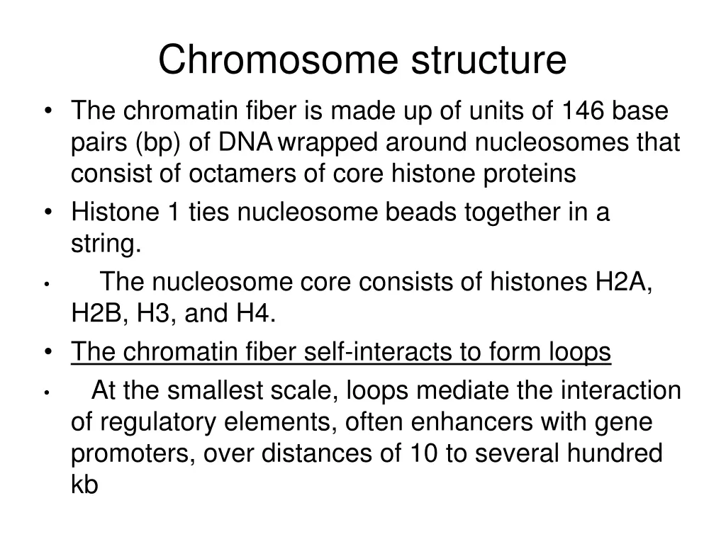 chromosome structure the chromatin fiber is made