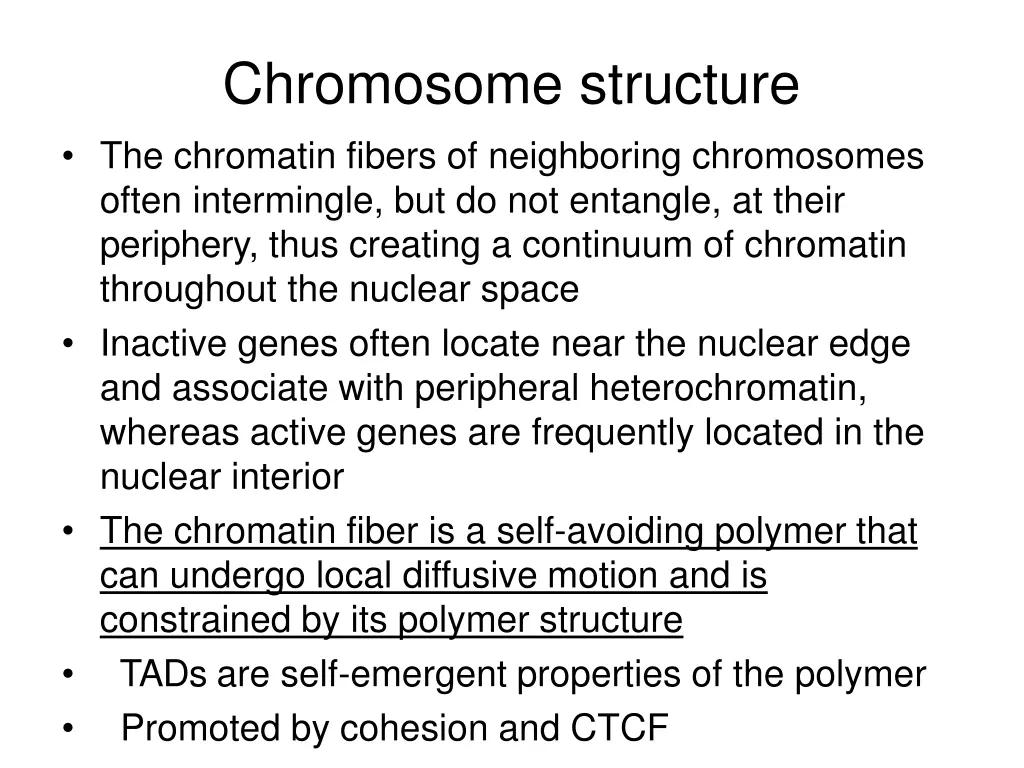 chromosome structure the chromatin fibers
