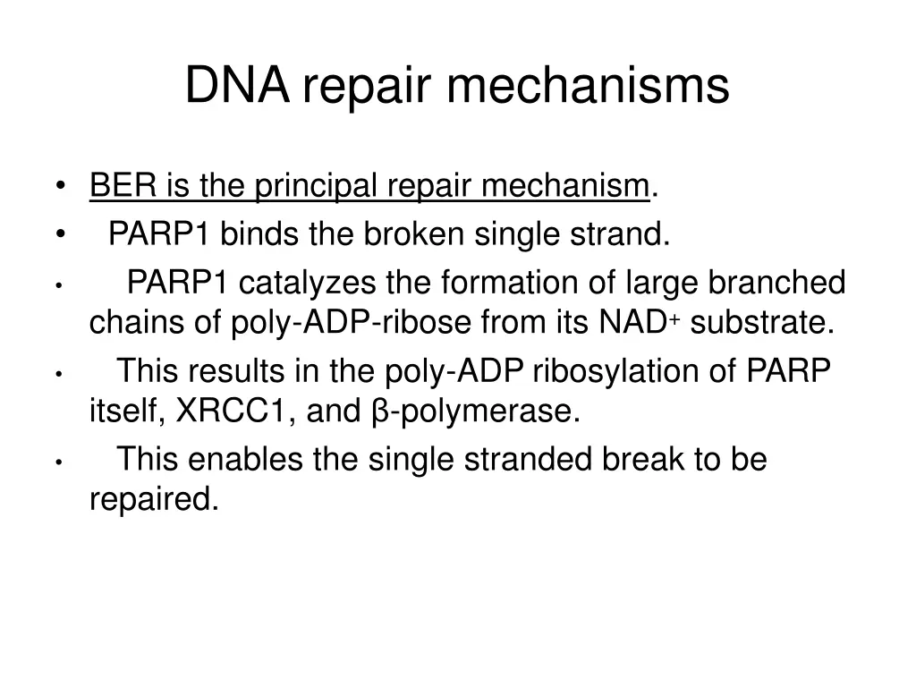 dna repair mechanisms 1