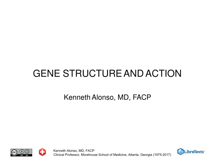 gene structureandaction