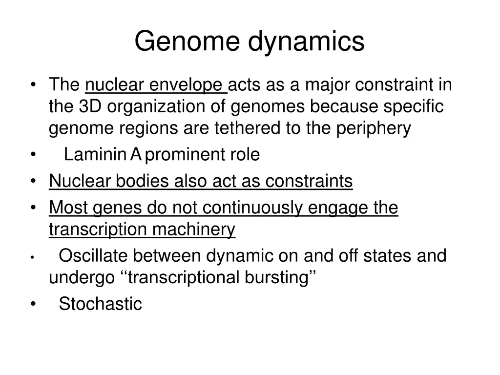 genome dynamics