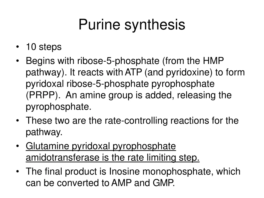 purine synthesis