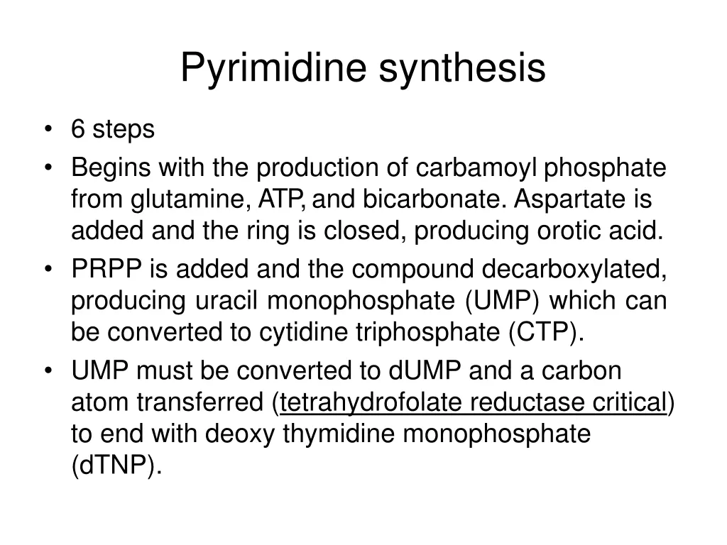 pyrimidine synthesis