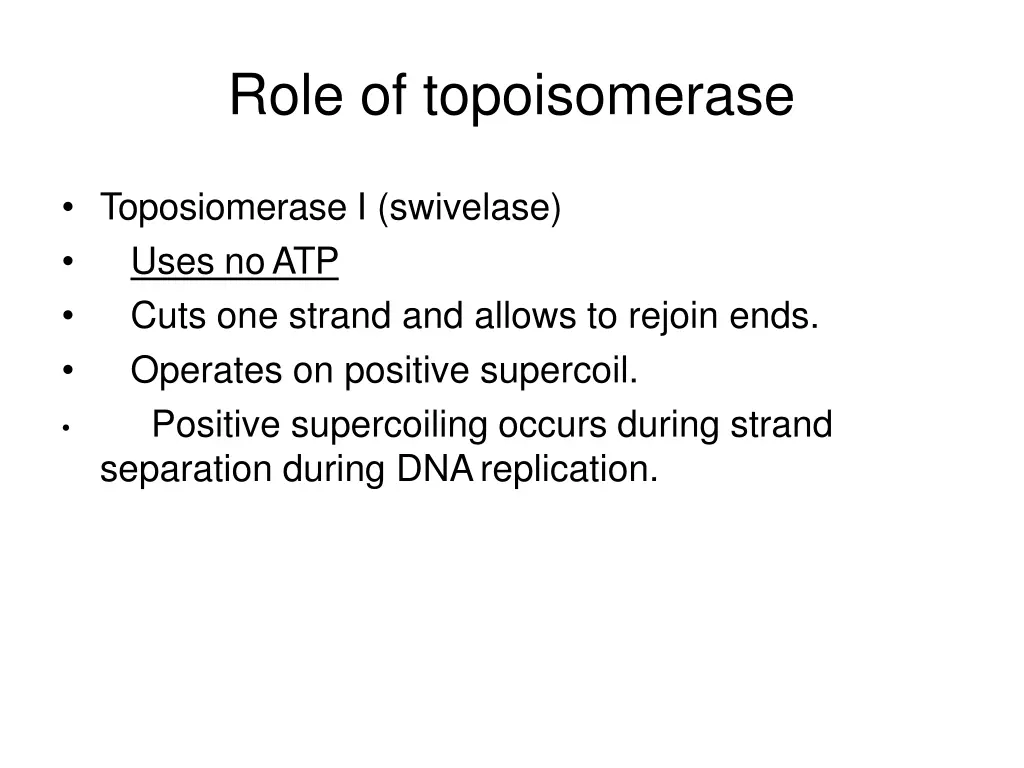 role of topoisomerase 1