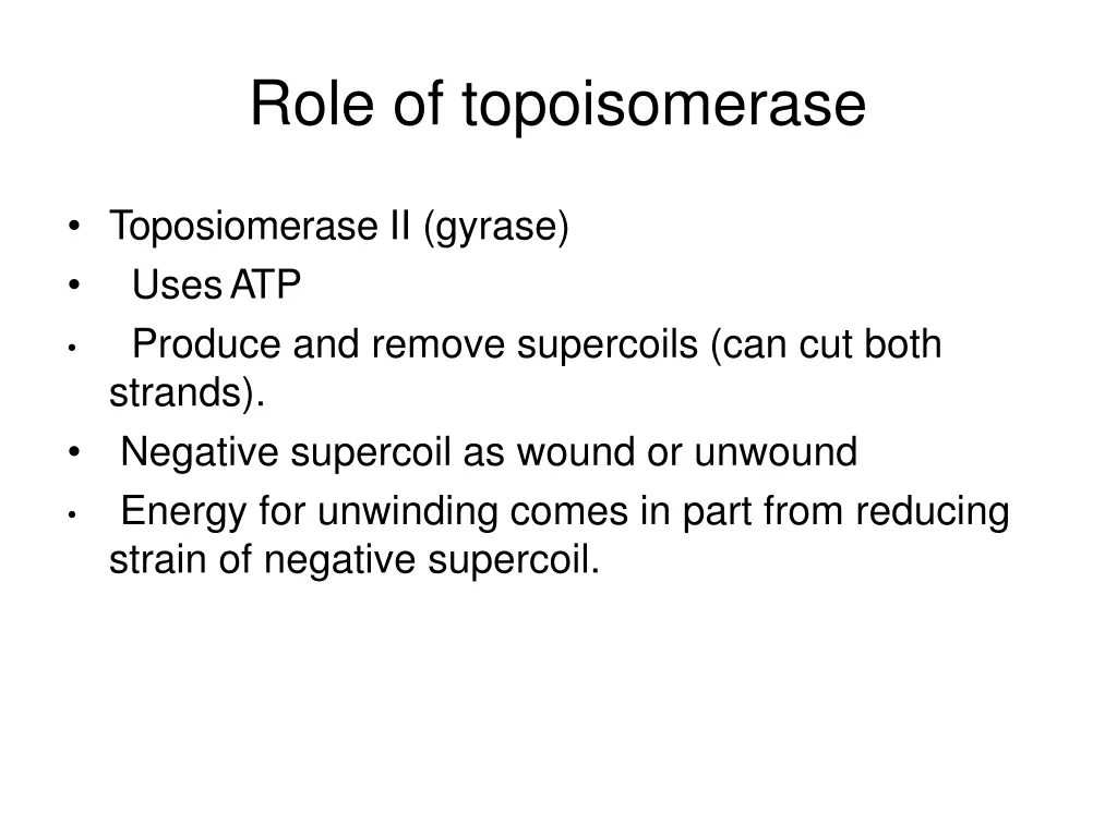 role of topoisomerase 2