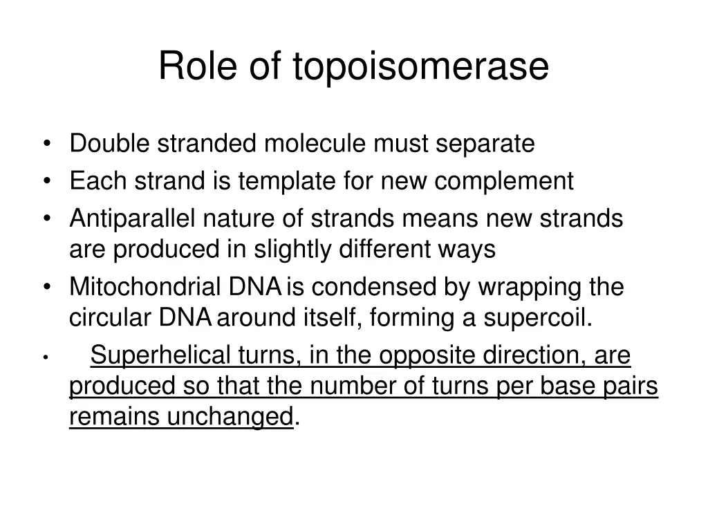 role of topoisomerase