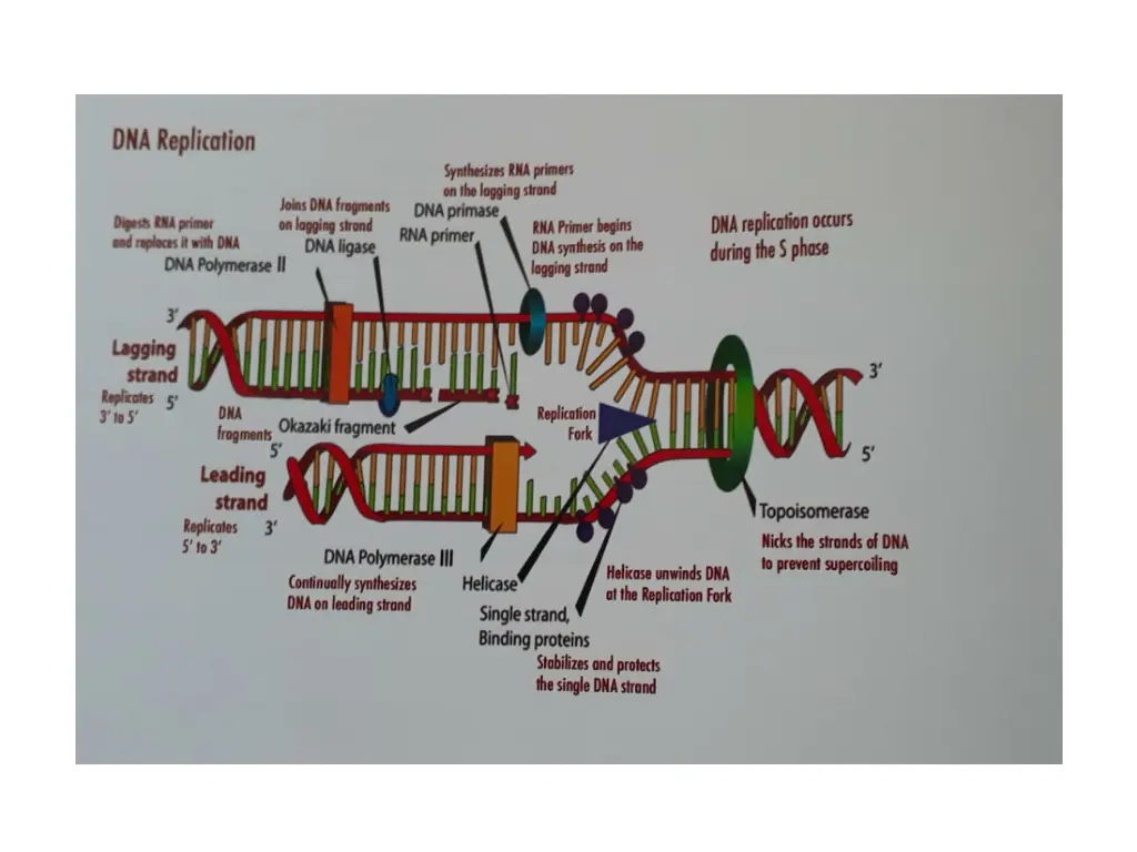 slide31
