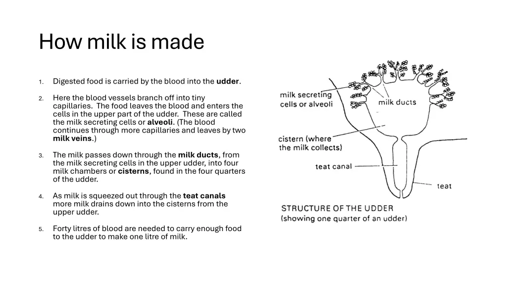 how milk is made 1