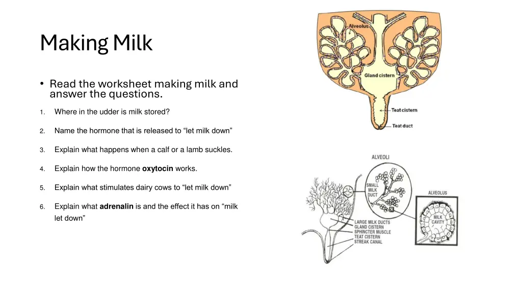 making milk