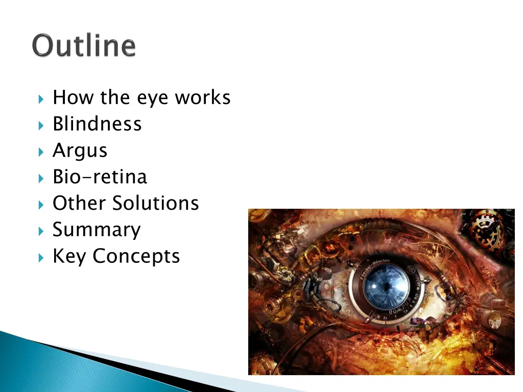 how the eye works blindness argus bio retina