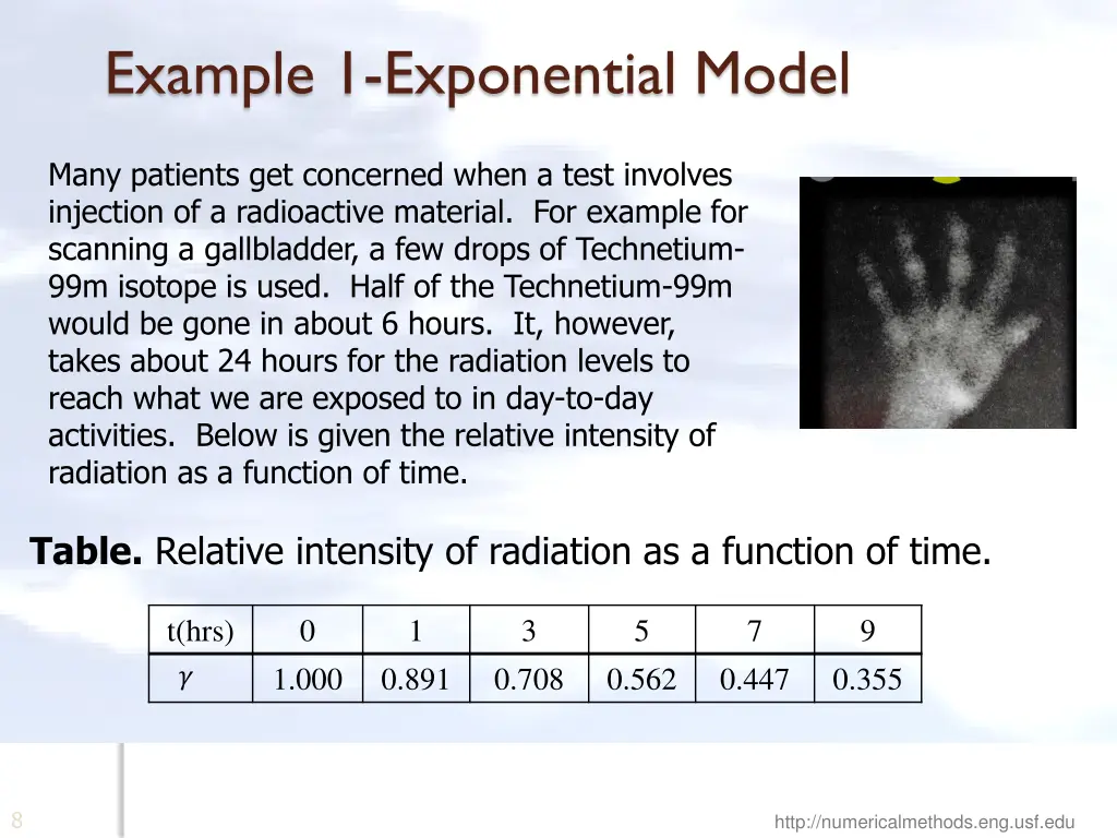 example 1 exponential model