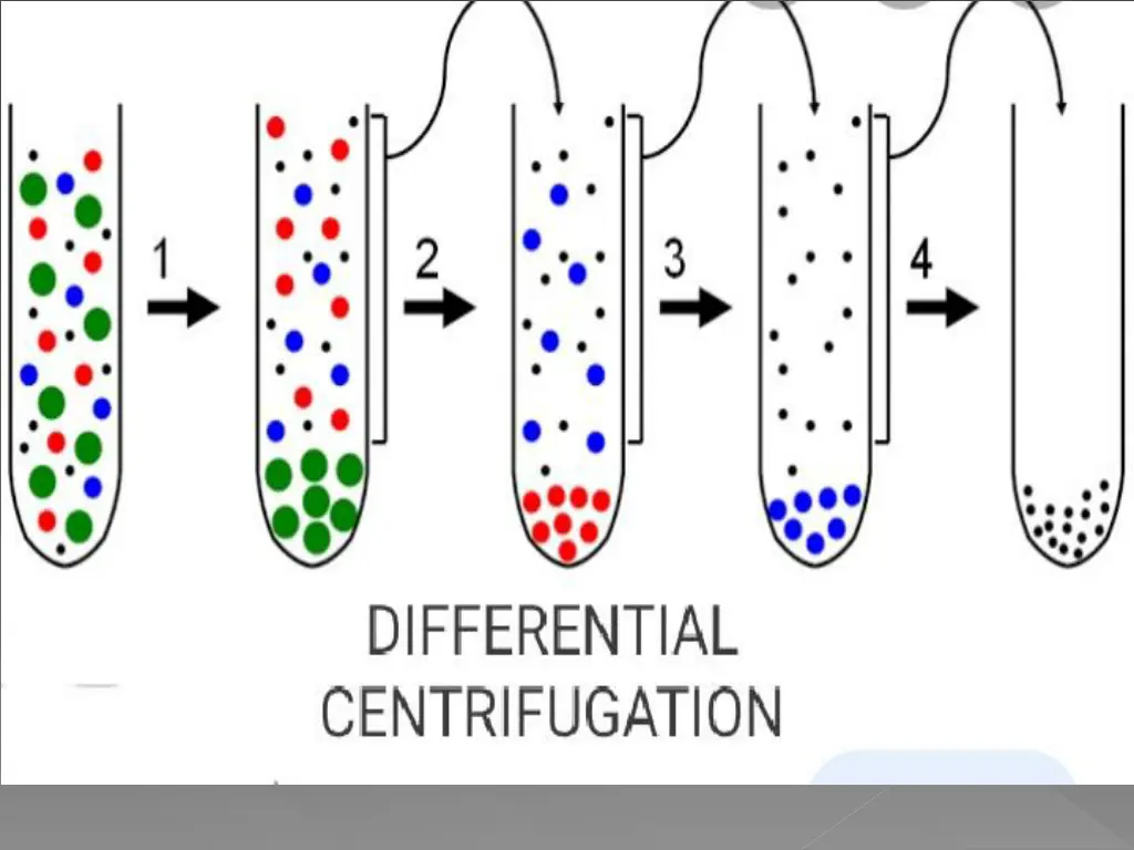 slide15