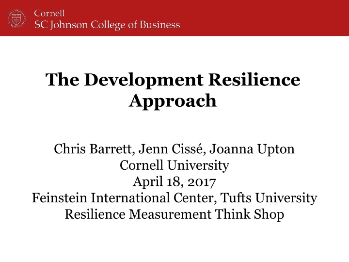 the development resilience approach