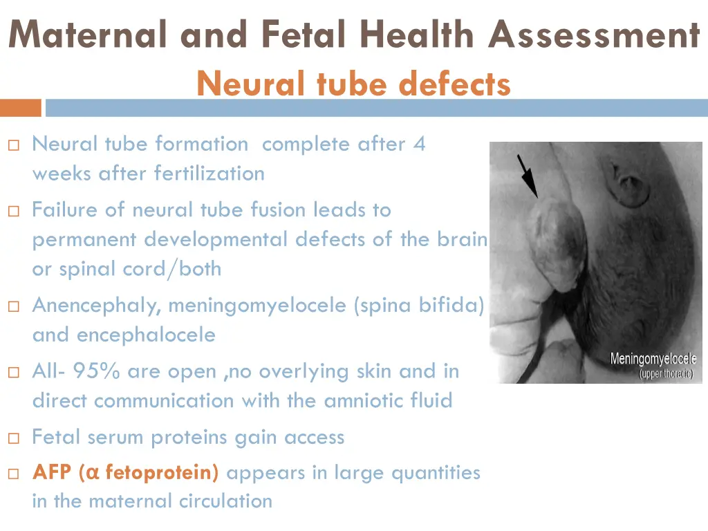 maternal and fetal health assessment neural tube