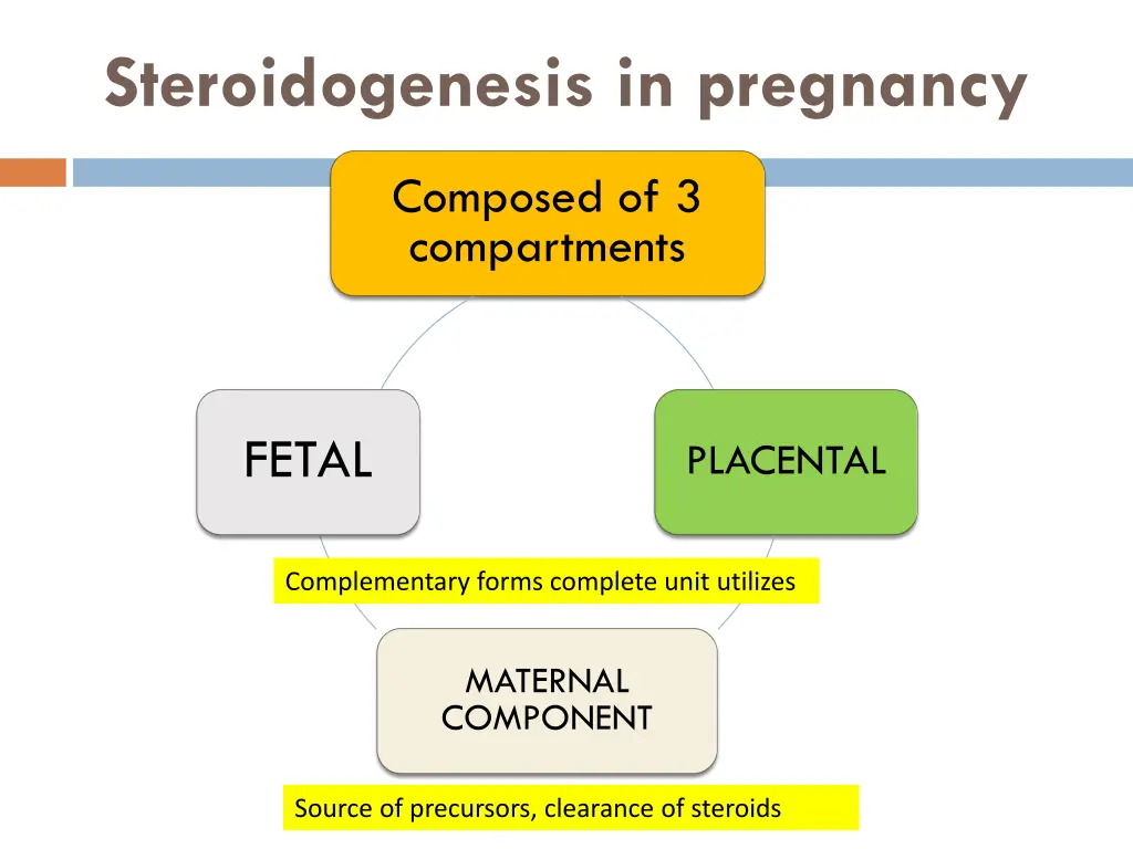 steroidogenesis in pregnancy 1