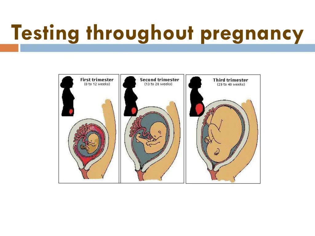 testing throughout pregnancy