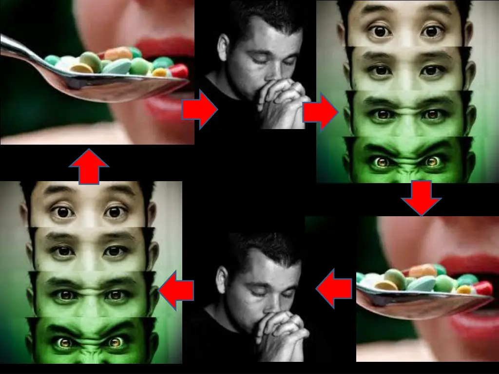 slide29