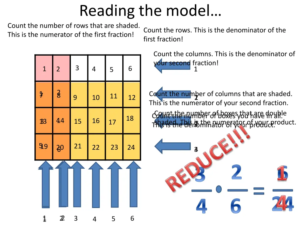 reading the model