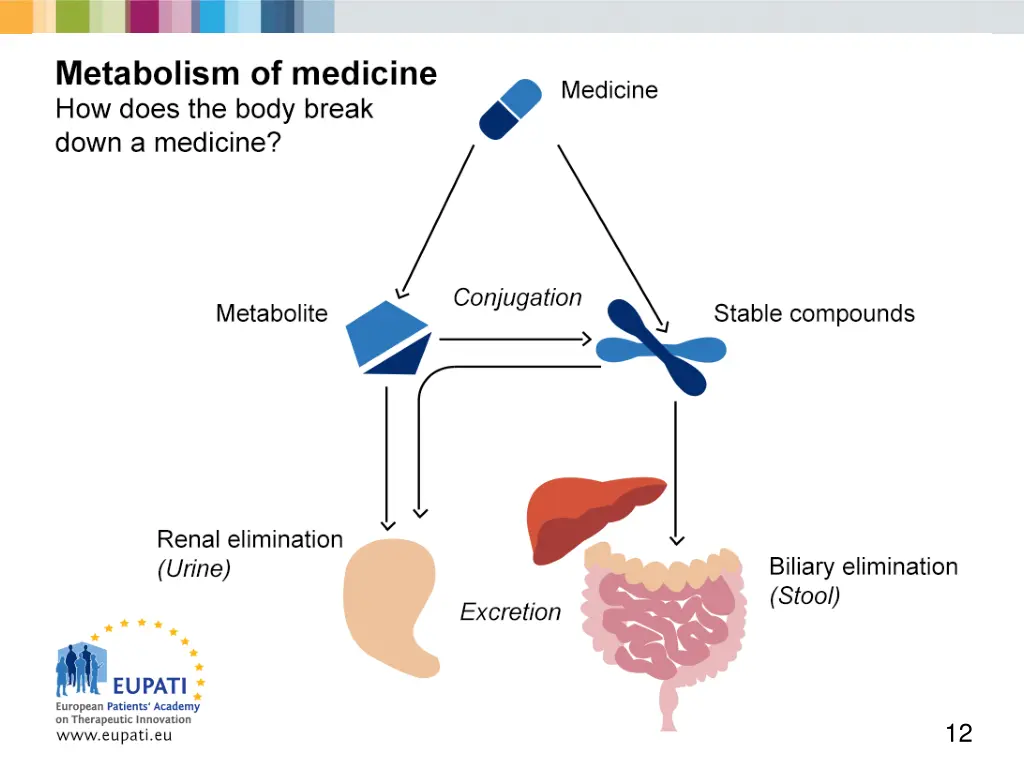 slide12