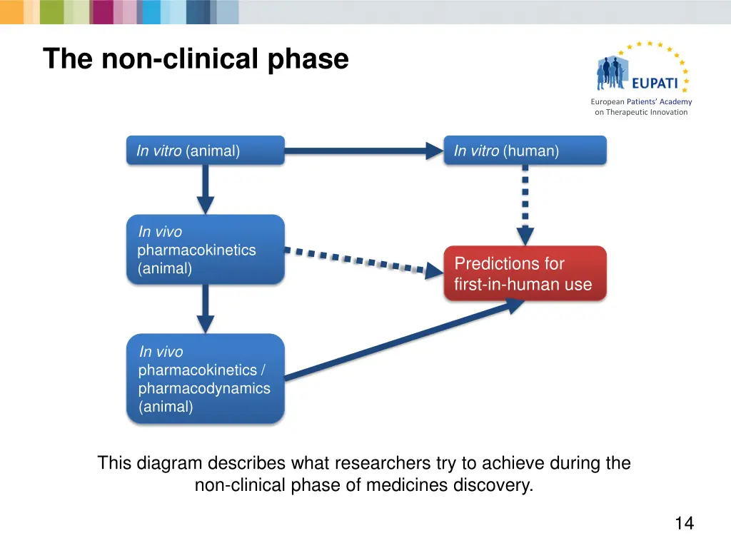 the non clinical phase