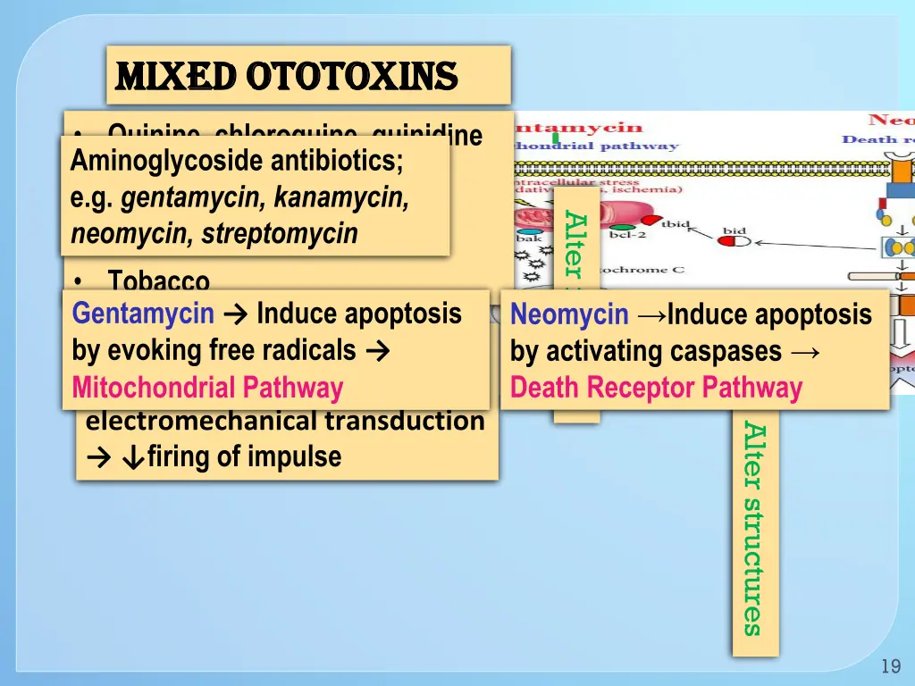 mixed ototoxins mixed ototoxins