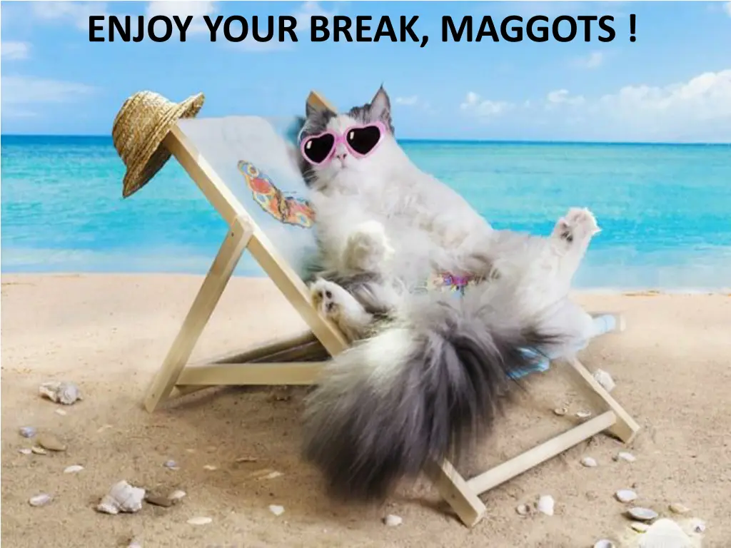enjoy your break maggots