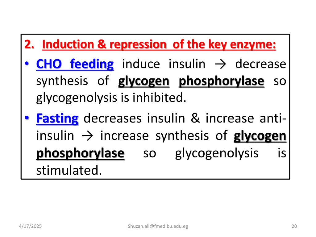 2 induction repression of the key enzyme 1