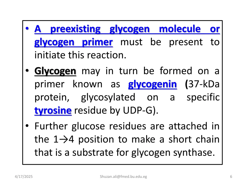 a preexisting glycogen molecule or glycogen