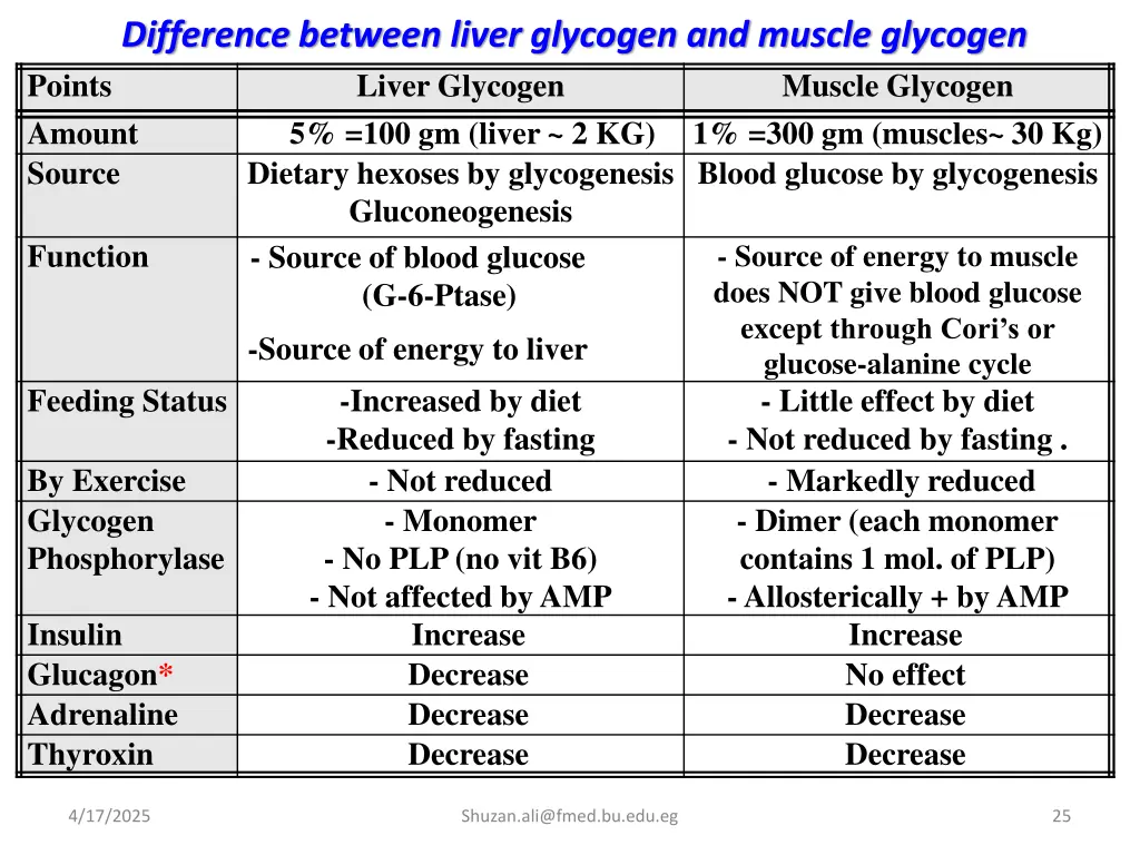difference between liver glycogen and muscle