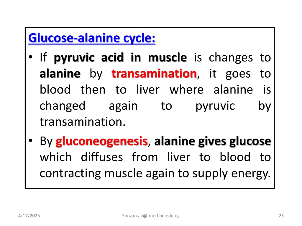 glucose alanine cycle if pyruvic acid in muscle