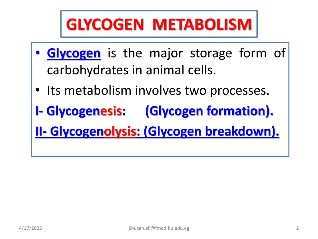 glycogen metabolism