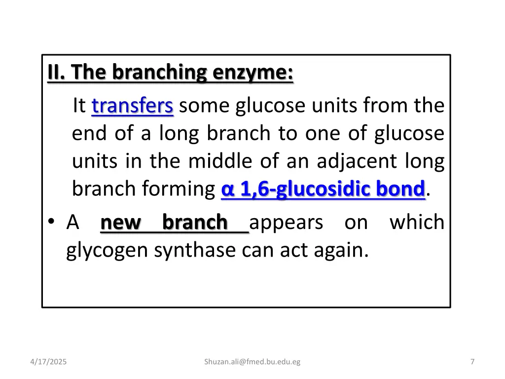 ii the branching enzyme it transfers some glucose