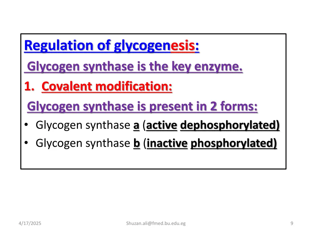 regulation of glycogenesis glycogen synthase