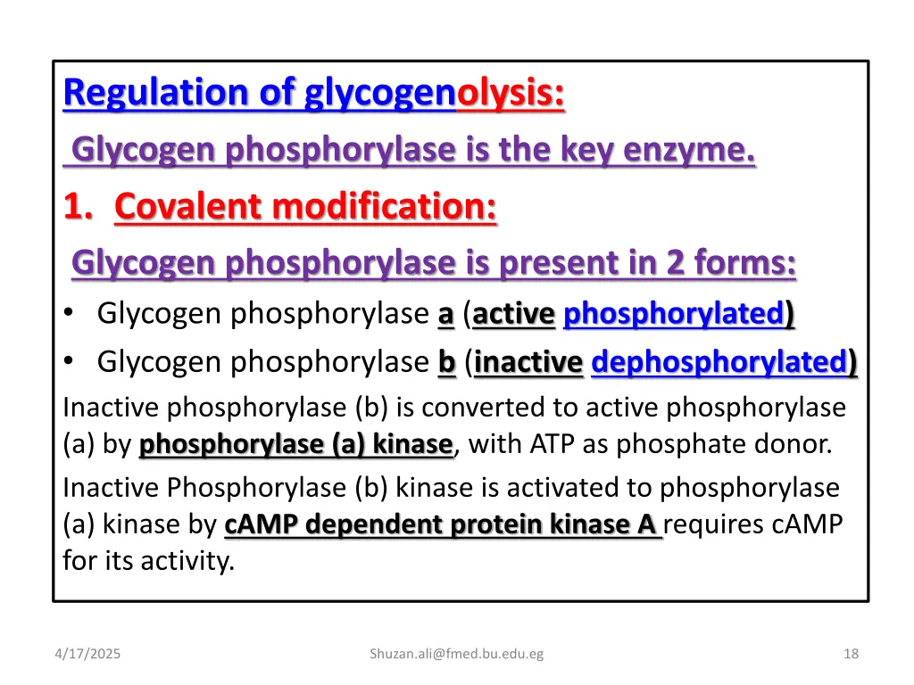 regulation of glycogenolysis glycogen